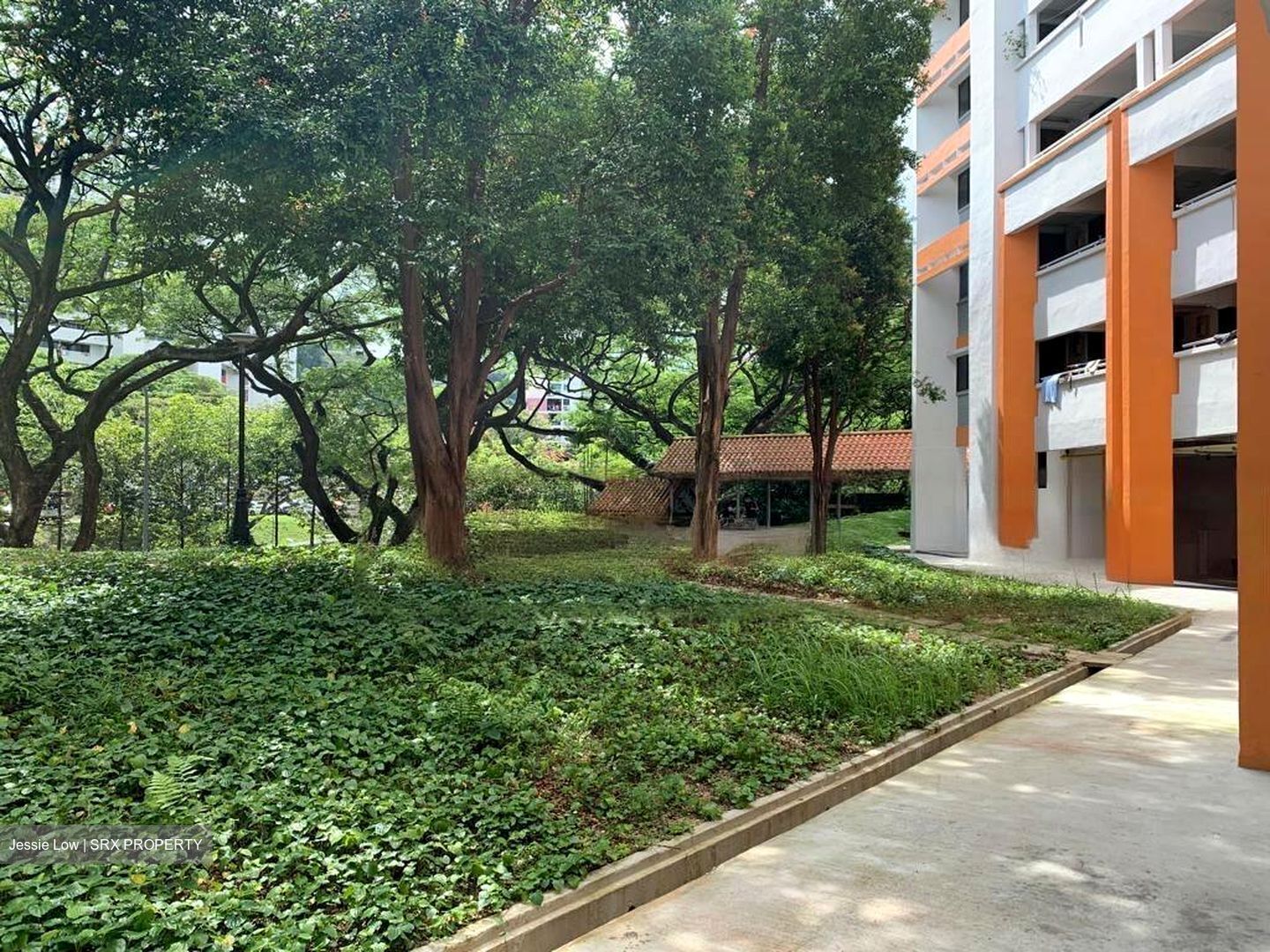 Blk 105 Bukit Purmie Ville (Bukit Merah), HDB 3 Rooms #448061081